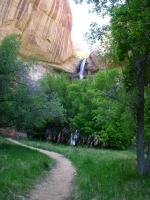 Calf Creek Waterfall